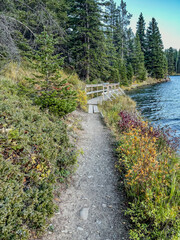Dirt hiking trail with wooden bridge by a forested lake