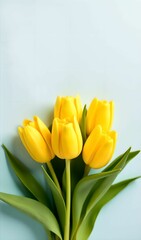 bouquet of yellow tulips on white background
