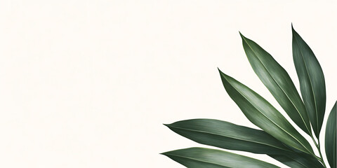 Fototapeta premium Close-up of vibrant green leaves set against a plain, light-colored background. The leaves are the focal point, emphasizing natural beauty and simplicity.