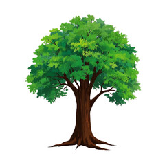 An illustration of a tree with a brown trunk, green leaves, and exposed roots on a white background.