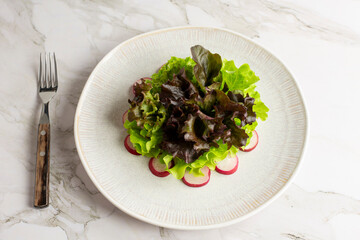 Fresh salad with radish