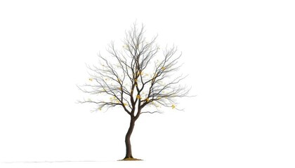 Obraz premium Lone deciduous tree, stark branches against pure white, outdoor, stock