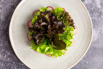 Fresh salad with radish