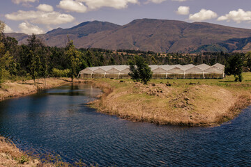 Fototapeta premium A row of plastic covered greenhouses at the edge of an arc shaped lake, in a farm near the colonial town of Villa de Leyva in central Colombia.
