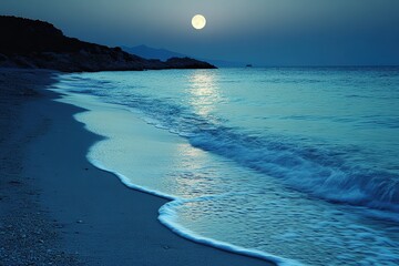 Moonlight gently illuminates a tranquil beach, where calm waves caress the shore in peaceful solitude at night.