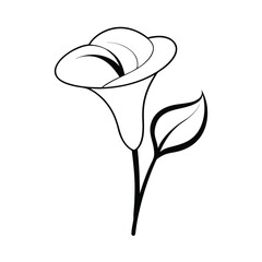 lily flower line art on white background