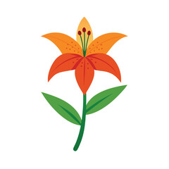 orange flower isolated on white background