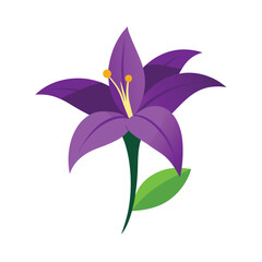 violet flower isolated on white background