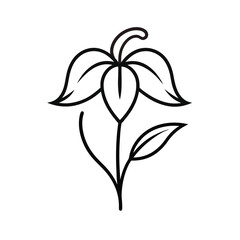 lily line art on white background