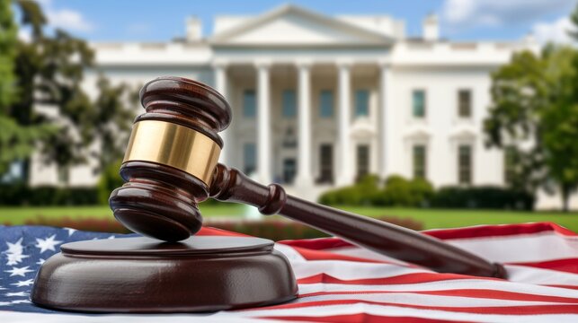 Gavel and bitcoin coins representing legal and financial themes with white house in background