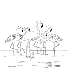 Obraz premium Flamingo Group Illustration Wading in Water Minimalist Line Art Design