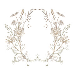 Field, meadow, wild flowers and herbs chamomile, meadow bluegrass and dragonfly. Line art is a simple hand-drawn illustration in beige, ochre, brown ink. Circle wreath frame vector EPS