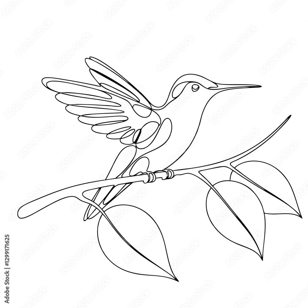 Poster continuous line art hummingbird on branch vector design for nature illustrations