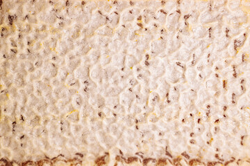 A close-up of a textured organic surface with a bumpy pattern and subtle color variations. The irregular shapes and soft details create an abstract and natural composition.
