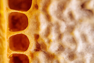A close-up macro shot of a textured beeswax surface with a natural bumpy pattern and subtle color...