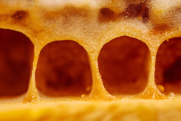 A close-up macro shot of a textured beeswax surface with a natural bumpy pattern and subtle color...