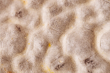 A close-up of a textured organic surface with a bumpy pattern and subtle color variations. The irregular shapes and soft details create an abstract and natural composition.
