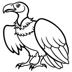 Fototapeta premium Detailed Vector Illustration of Vulture Line Art for Educational and Artistic Use