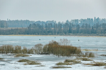 A frozen marshland with patches of dry grass and shrubs protruding through the icy surface. The...
