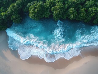 Aerial View of a Coastal Beach with Trees and Ocean Waves