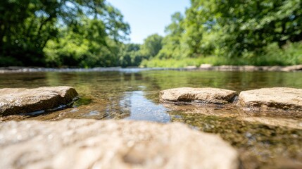 Obraz premium Flat stones sit in the shallow, clear water of a flowing river surrounded by lush green forest trees on a sunny day.