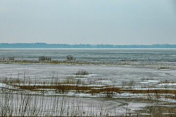 A frozen marshland with patches of dry grass and shrubs protruding through the icy surface. The distant shoreline fades into the cold, overcast sky, creating a serene winter scene.