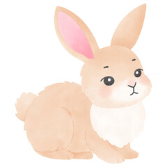 Obraz premium Easter bunny