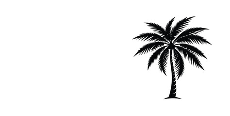 Fototapeta premium palm tree isolated on white background