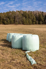 Haystacks on the winter field, Czech republic