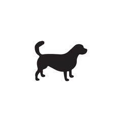 dog on white background