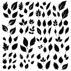 Fototapeta premium Leaf Silhouette Vector Set. Nature, Foliage, Botanical Elements Collection.