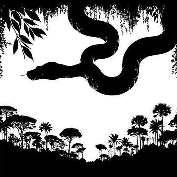 silhouette of tropical trees and a python hanging from a branch