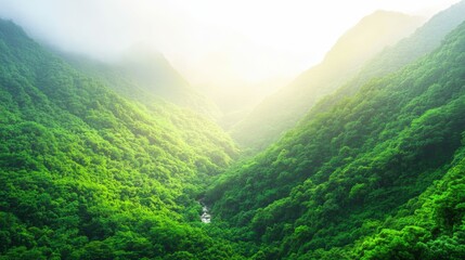 Naklejka premium Mountain vista with lush greenery, soft sunlight, and a tranquil stream running through