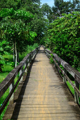 Fototapeta premium One of the many footbridges in the riverside village of Calama, Porto Velho, Rondonia state, Brazil.