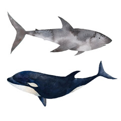 Sea and ocean life watercolor set 2