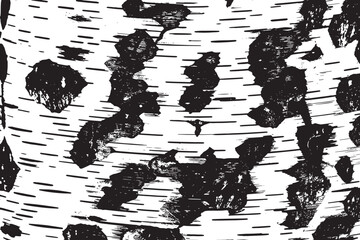 Birch bark texture vector illustration