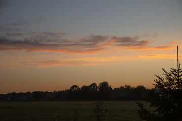 Beautiful autumn sunset sky and fir tree silhouette under bright colorful clouds. Yellow orange green background. In evening time at rural season field with no people. Natural colors.