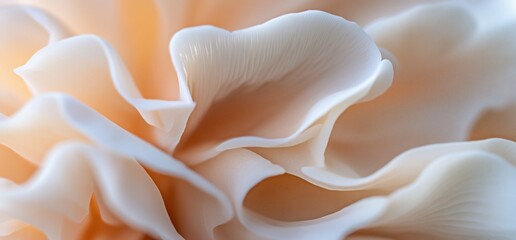 Close-up of delicate oyster mushrooms, showcasing their soft, pale peach and white color and intricate textures.