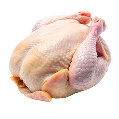 Fresh Whole Chicken: Buy Online, Recipes isolated on transparent background