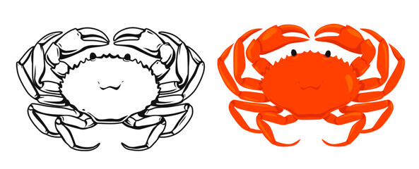 Red  Crab and vector hand drawn Crab isolated on white background, cartoon style.Vector.