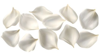 elegant collection of soft white flower petals isolated on a transparent background, generative ai