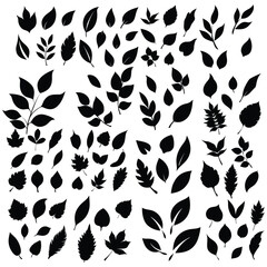 Leaf Silhouette Vector Set. Botanical, Nature, Foliage, Elements Collection.