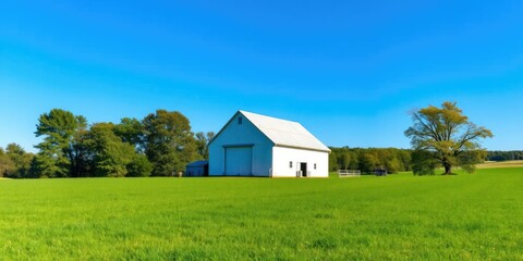 Fototapeta premium White barn in the middle of a vast green field, surrounded by trees and a clear blue sky, field, nature, barn