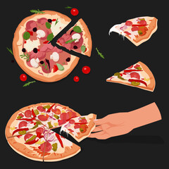 Chicken Pizza slice with tomato and cheese. A hands-taking triangle pizza slice. Vector illustration.