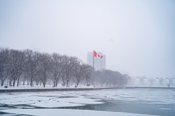 Winter storm view of snow-covered Coronation Park in Toronto.