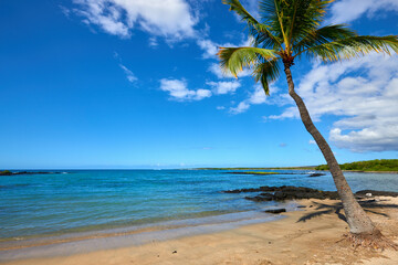 Hawaii's Natural Beauty: Stunning Landscape of Blue Ocean, White Sand Beach, and Green Palm Trees under a Cloudy Sky
