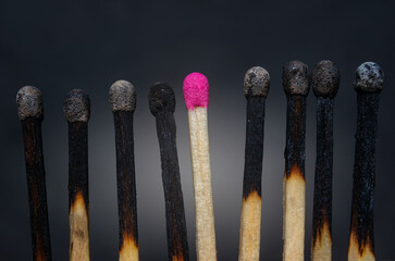 Unique match represents leadership among burnt matches in a dark setting