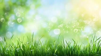 Obraz premium Lush green grass glimmering in the sunlight with soft bokeh effect in a vibrant natural setting