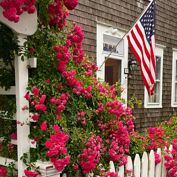 An American flag hangs on a house while the red roses bloom over white picket fence on the Fourth of July at a summer home on Cape Cod