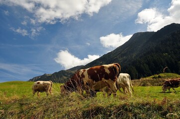 Unterwegs im Stubaital